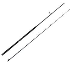 Savage Gear Defiance SG2 Shore Jig 3.05m 30-100gr 2 Parça Olta Kamışı