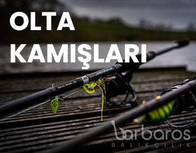 OLTA KAMIŞLARI
