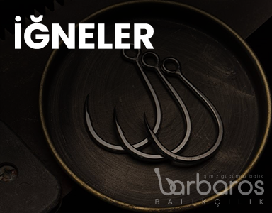 İĞNELER